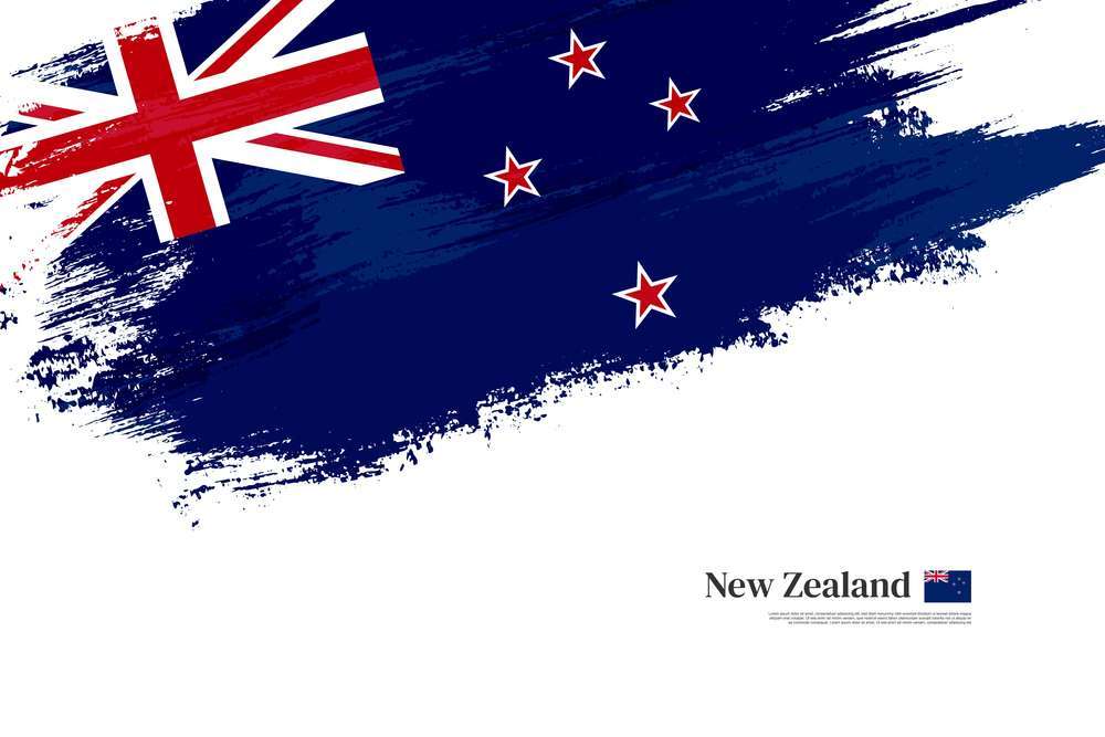 Entrepreneurial Kiwi Spirit: Business Ventures in New Zealand