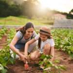 Fun Farm Activities Beyond Just Picking Fruit